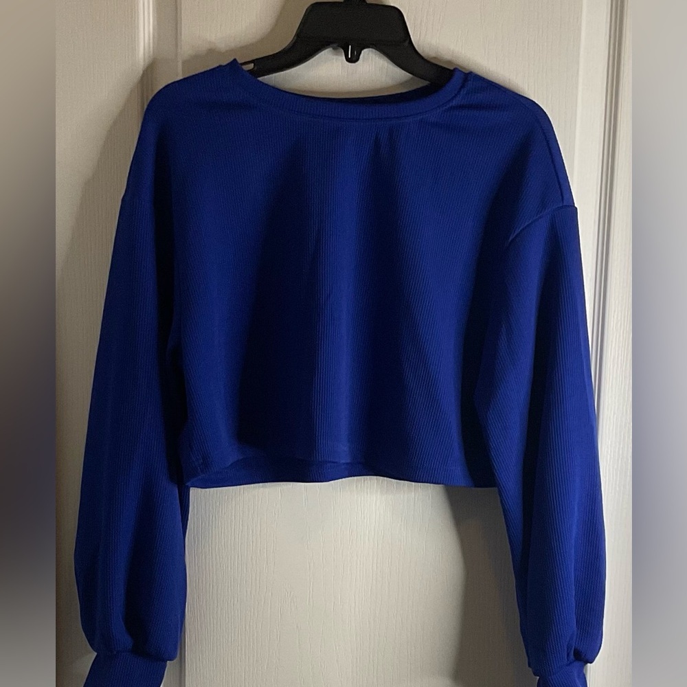 SHEIN Royal Blue Ribbed Micro Mesh Cropped Long-Sleeve Top